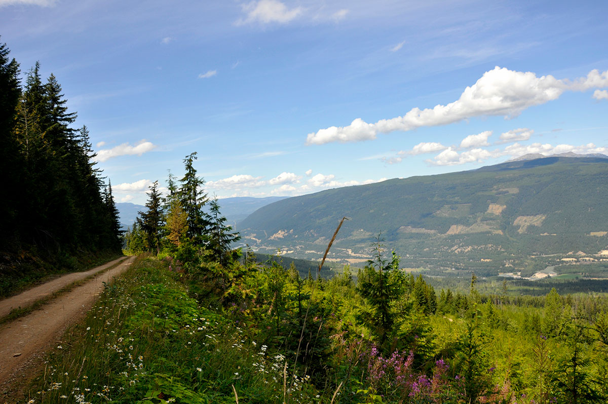 Mining.com: Taseko more than doubles value of Yellowhead project near Gibraltar